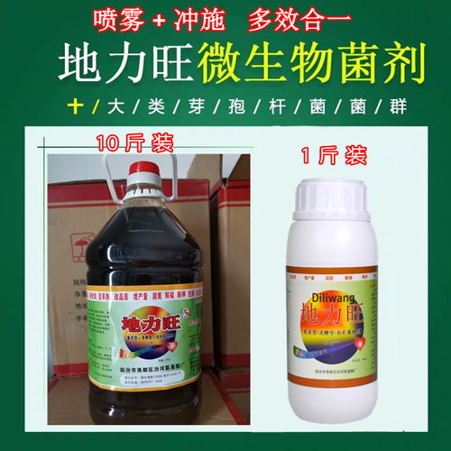 【目前治疗药材根腐病软腐病青枯立克恶霉灵喷雾加灌根】- 