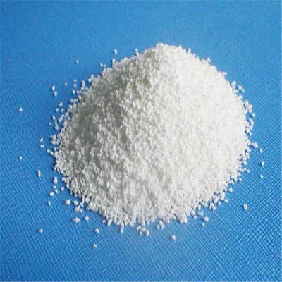 合肥强氯精氯锭 速溶消毒片氯片多少钱一公斤